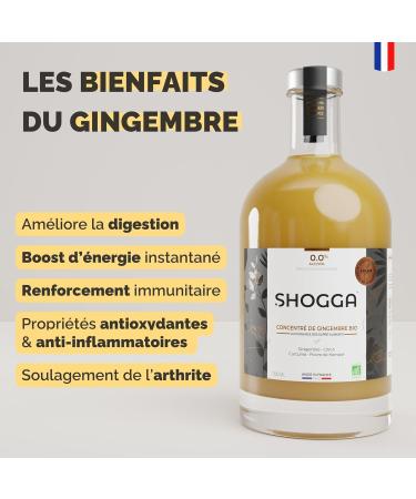 SHOGGA | Organic Ginger Juice | Made in France | Premium Non-Alcoholic Beverage | 12 Superfoods: Cold-Pressed Fresh Ginger Lemon Turmeric Kampot Pepper Herbs & Spices (200ml) - Buy Online on GoSupps.com