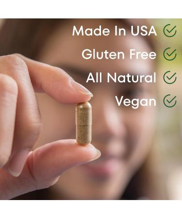 Scale Nutrition Gain - Appetite Booster Pills for Adults Natural Appetite Stimulant & Weight Gain Support Supplement with Ginger Extract Blessed Thistle Gentian Root & Creatine 120 Capsules - Buy Online on GoSupps.com