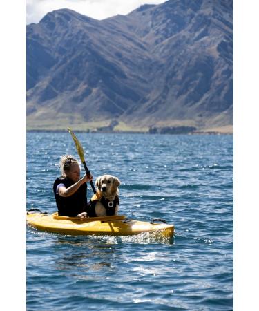 Stunt Puppy Float Dog Life Jacket - XXS Red | Safe & Stylish Floatation for Small Dogs - Buy Online on GoSupps.com