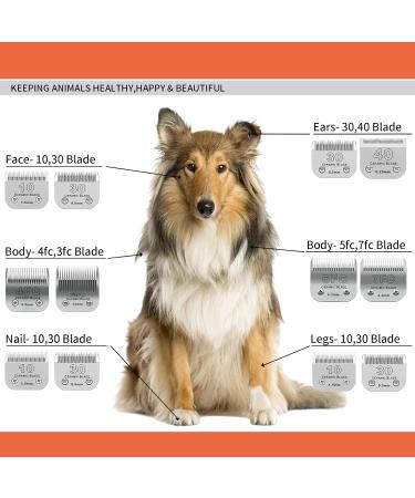 Detachable Pet Dog Grooming Ceramic Blades Compatible with Andis Size-5FC Cut Length 6.3mm 1/4 Compatible with Oster A5 Wahl KM Series Clippers - Buy Online on GoSupps.com