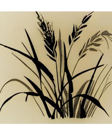  Niesel Hydrating Face Mask | 10ml Hydrating Face Treatment | Night Mask - For All Skin Types For Daily Use Ideal for Travel Home and Activities - Buy Online on GoSupps.com