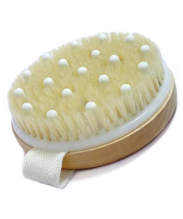 Body Brush for Wet or Dry Brushing Gentle Exfoliating for Softer  Bristles Gentle Massage Nodes Get Rid of Your Cellulite and Dry Skin  Improve Your Circulation 1 Count (Pack of 1)