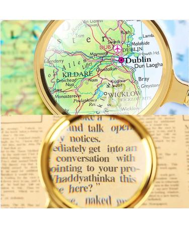 20X Handheld Reading Magnifier Antique Style Great for Seniors Hd Optical Lens/Durable/Removable/Gold-Plated Plastic Frame Magnifying Glass-90Mm Lofty Ambition - Buy Online on GoSupps.com