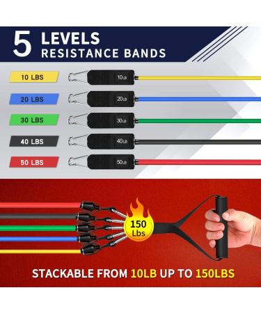 Resistance Bands Exercise Bands Resistance Bands for Working Out Work Out Bands with Handles for Men and Women Fitness Strength Training Home Gym Equipment (Multi) - Buy Online on GoSupps.com
