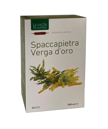 fendeur pierre verge d'or 20 ampoules