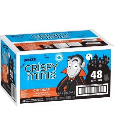 Halloween Cheddar Flavoured Multi Pack 48 x 18g Cheddar Cheese 864 g (Pack of 1)