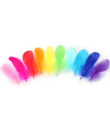 HaiMay 450 Pcs 3-5 Colorful Craft Feathers for Wedding, Home & Party Decor - 10 Colors - Buy Online on GoSupps.com