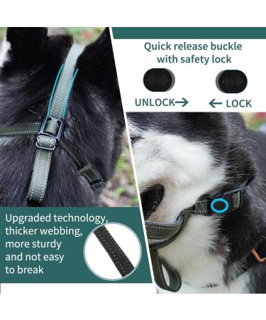 Buy Green Dog Muzzle - Adjustable 1 Piece (Snout 16.5-19.7 cm) for Comfortable Fit - International Shipping Available - Buy Online on GoSupps.com