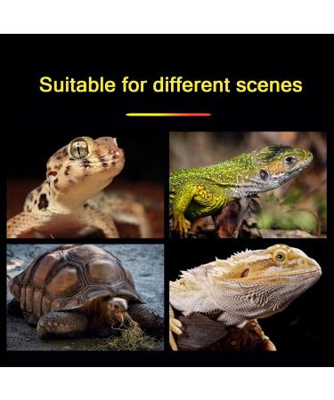 Roseflower 2 Pack Reptiles Thermometer Hygrometer - Precision Mechanical Dial for Terrariums | Accurate Temperature & Humidity Measurement (No Battery Needed) - Buy Online on GoSupps.com