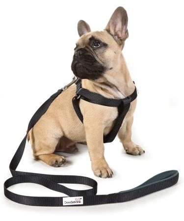 Doodlebone Originals Sapphire 1-2 Dog Harness - Comfortable and Stylish - Buy Online on GoSupps.com