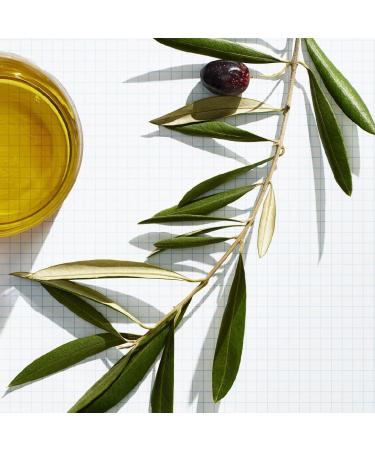 Olive Spa Revitalizing Skin Cream for Men 75 ml - Buy Online on GoSupps.com