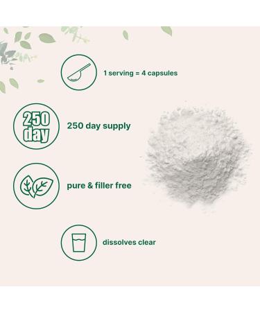Pure L-Serine Powder 500g | Filler-Free Supports Brain Health Non-GMO Gluten-Free | 250 Day Supply - Buy Online on GoSupps.com