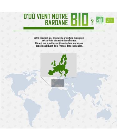 Organic burdock - 400 mg - 120 tablets - Buy Online on GoSupps.com