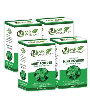 NENA Mint Powder | Mint Powder Organic | Mint Powder for Face Pack | Pudina Powder for Hair | Mint Powder for Skin | No Added Chemicals - Set of 4 (400 Grams)
