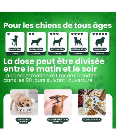 DB Labo Probiotic Dog 100 Snack - Probiotic Intestinal Flora Dog Digestive Enzymes - Lactic Ferments for Dogs for Itching Allergies and the Immune System - Buy Online on GoSupps.com