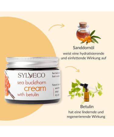 SYLVECO Birch Day Cream with Sea Buckthorn for Combination Skin with Betulin Face Cream for Dry and Impure Skin Natural Cosmetics for Face and Neck Size 50 ml - Buy Online on GoSupps.com