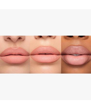 Anastasia Beverly Hills Matte Lipstick in Hush Rose - Long-Lasting Formula - Buy Online on GoSupps.com