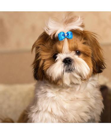 JpGdn 50pcs Small Dog Hair Bows with Rhinestones & Rubber Bands | Puppy Grooming Accessories | Color Random | Pet Topknot Bowknots - Buy Online on GoSupps.com