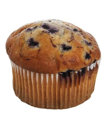 Otis Spunkmeyer Delicious Essentials Wild Blueberry Muffin, 4 Ounce -- 24 per case.