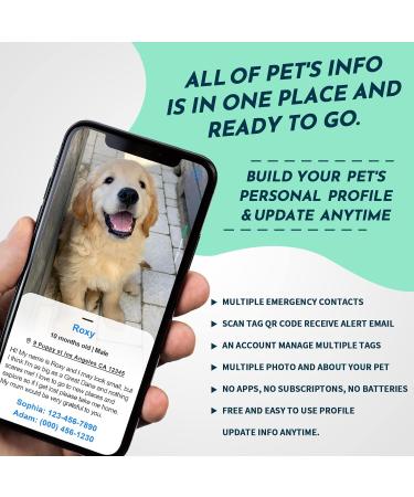 Myluckytag Stainless Steel QR Code Pet ID | Instant Location Alert - Shop Red & Gold Now! - Buy Online on GoSupps.com