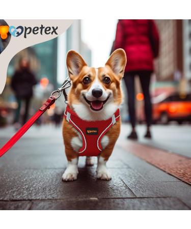 Petex Dog Harness for Small & Medium Dogs - TUV Tested Made in Europe Reflective & Breathable with Air Mesh Technology - Red XS - Buy Online on GoSupps.com