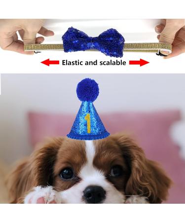 Shop Dher Pet Birthday Set - Gold Sequin Hat & Decor for Dogs & Cats - Festive Party Accessories (Blue) - Buy Online on GoSupps.com