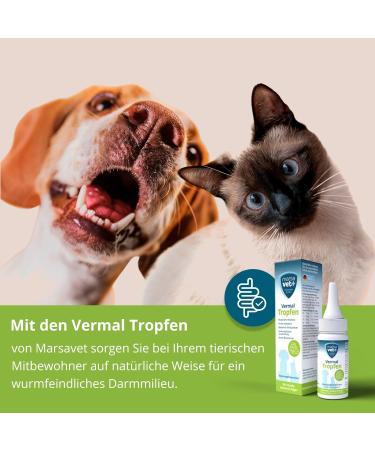 Marsavet Natural Worm & Intestinal Parasite Drops 50ml for Dogs Cats & Rodents - Safe for All Breeds & Ages - Buy Online on GoSupps.com