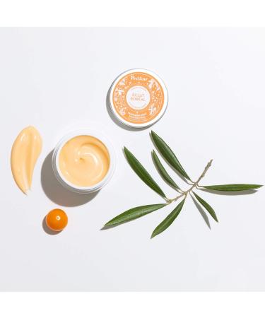Pol ar - Northern Light Smoothing Cream with Siberian Olive - Moisturizing Face Care - Smoothes the Skin Protects Against Pollution - Made in France Cruelty Free Natural Care - 50 ml - Buy Online on GoSupps.com