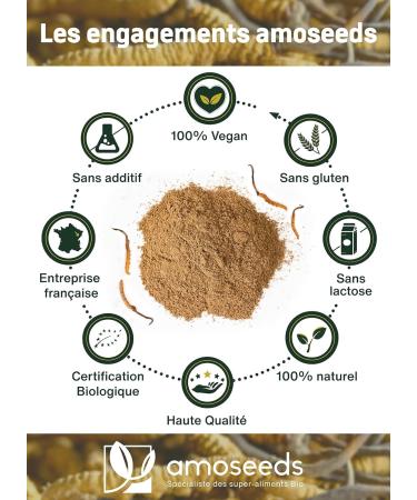 Cordyceps Organic Powder 150G | Superior Quality | Anti-Fatigue Anti-Stress Energy Immunity - Buy Online on GoSupps.com