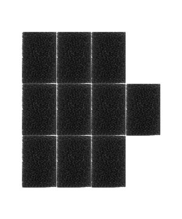 FRCOLOR 32 Pcs Special Effects Makeup Tool Set | Stippling Sponges & Polyurethane Brushes for Halloween & Body Makeup - Black (Pack of 1 - Buy Online on GoSupps.com