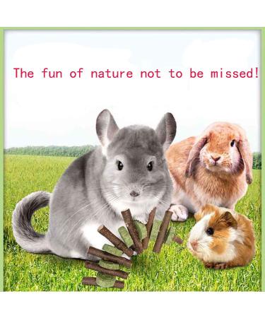 Bunny Chew Toy: Apple Wood Stick for Dental Health - 2 Pieces - Buy Online on GoSupps.com