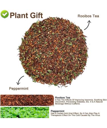 Plant Gift Peppermint Rooibos Tea Oganic Fruit Herbal Tea All Natural Flavors Loose Leaf Non GMO Vegan Tea Bags Into Iced Tea & Hot Tea 70G/2.5oz - Buy Online on GoSupps.com