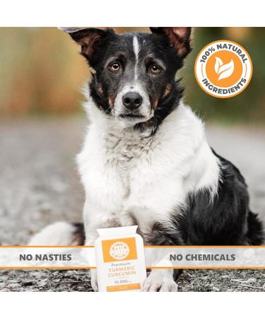 Premium Turmeric for Pets 10,000mg with Bioperine | Powerful Antioxidant Supplement for Joints & Hips | 60 Capsules - Buy Online on GoSupps.com