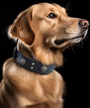 Handmade Leather Dog Collar - 5 cm Wide Soft & Luxurious for Large/Medium Breeds - Black (42-52 cm) - Buy Online on GoSupps.com