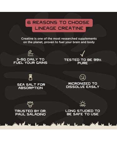 Lineage Provisions Micronized Creatine Monohydrate with Sea Salt - Micronized Creatine Powder for Training & Performance No Artificial Ingredients 90 Servings - Buy Online on GoSupps.com