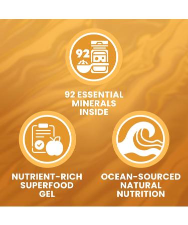 TrueSeaMoss Sea Moss Gel - Alternative Form of Sea Moss - Mango/Pineapple Sea Moss Gel - Sea Moss Gel Organic Raw - Made in the USA - Mango/Pineapple Sea Moss Gel 473 ml (16 Fl Oz) - Buy Online on GoSupps.com