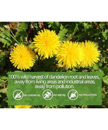  ULTHMOK Dandelion tea in a bag with a string tea bag 50 tea bags baked dandelion root and dandelion leaves light herbal tea - Buy Online on GoSupps.com