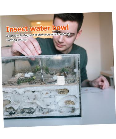 BESPORTBLE 2pcs Ant Water Feeder Acrylic Ant Feeders Professional Ants Feeder Tortoise Water Dish Transparent - Buy Online on GoSupps.com