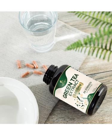 Green Tea Extract Capsules 1000 mg - Standardized 45% EGCG & 98% Polyphenols - 3X Strength Green Tea Pills for Natural Energy - Supports Heart Health Herbal Supplement Vegan Non-GMO - 240 Capsules 240 Count (Pack of 1) - Buy Online on GoSupps.com