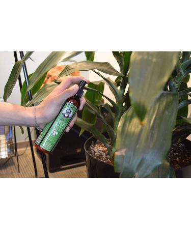 Grandpa Gus's Natural Squirrel Repellent Spray for Chipmunks - 8oz - Buy Online on GoSupps.com