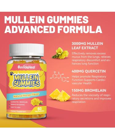 Mullein Gummies 3000MG Sugar Free Mullein Gummies with Bromelain & Quercetin Mullein Leaf Extract Supplements for Lungs Vegan 60 Count 60 Count (Pack of 1) - Buy Online on GoSupps.com