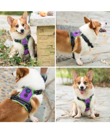 Phoepet Reflective Dog Harness - Adjustable & Durable with Training Handle | Violet L (Neck 16-24 Chest 22-33) | International Shipping Available - Buy Online on GoSupps.com