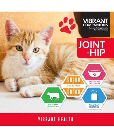 Vibrant Health Joint & Hip Supplement for Dogs & Cats - Beef Liver Flavor, 9.17 oz - Buy Online on GoSupps.com