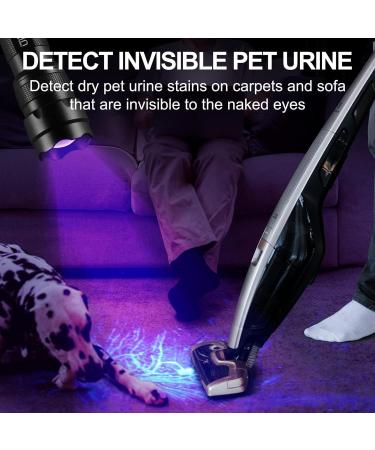 ULTRAFIRE UV LED Torch 395-405nm Blacklight Zoomable Ultraviolet Flashlight with 2600mAh Rechargeable Battery and Charger Mini UV Light for Curing UV Glue Pet Urine Stains - Buy Online on GoSupps.com