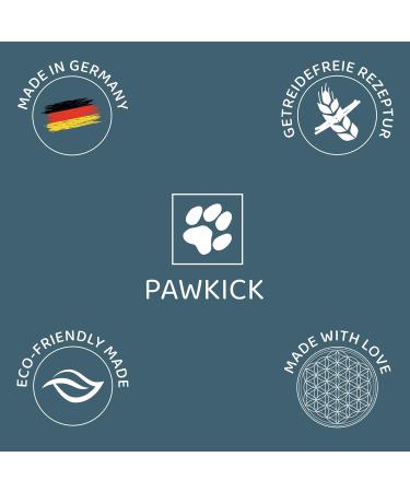 Pawkick Protector Kicks CAT 200G - Grain-Free Salmon Treats for Cats | Perfect for Forest & Meadow Play - Buy Online on GoSupps.com