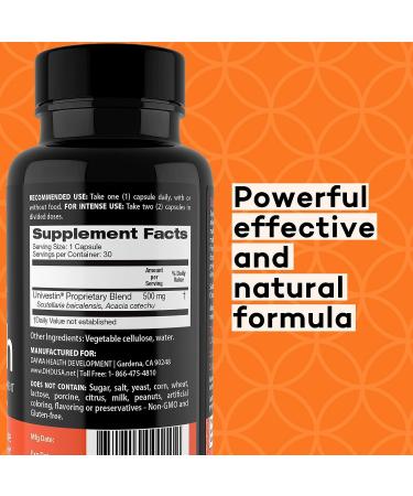 Daiwa Joint Health Supplement - Natural Support for Joint Care - Vegetarian Capsules 30 Count - Buy Online on GoSupps.com