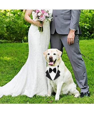 Kaket Formal Dog Tuxedo Bandana with Neck Tie Designs - Black (L) - Buy Online on GoSupps.com