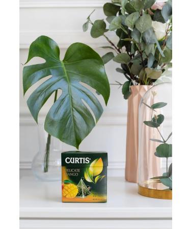 Curtis Delicate mango green tea - Buy Online on GoSupps.com