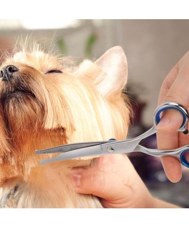 Curved Dog Grooming Scissors - Stainless Steel Pet Fur Scissors for Dogs & Cats - Safety Round Tip - Buy Online on GoSupps.com