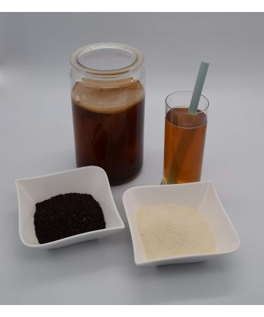 Buy Water Kefir & Kombucha: Premium Japanese Crystals & Tea Fungus Scoby for Healthy Gut | International Shipping - Buy Online on GoSupps.com